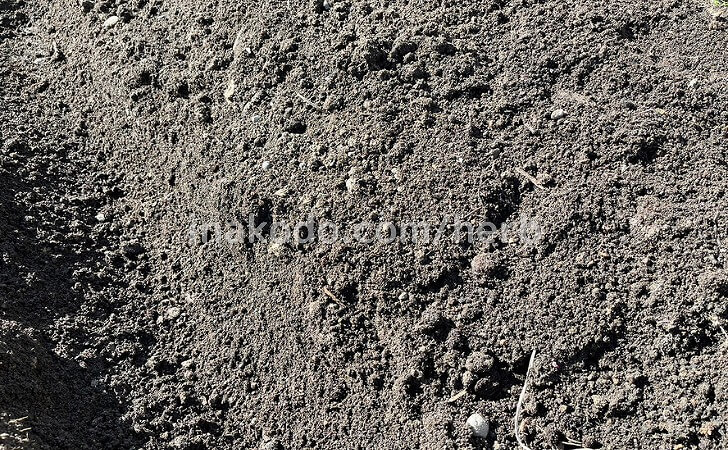 にんにく植え付け用の畝