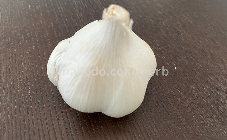 種用にんにく