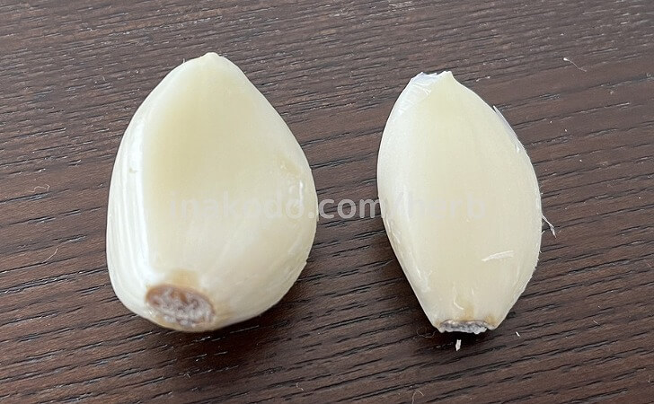 薄皮を剥いたにんにくの球根