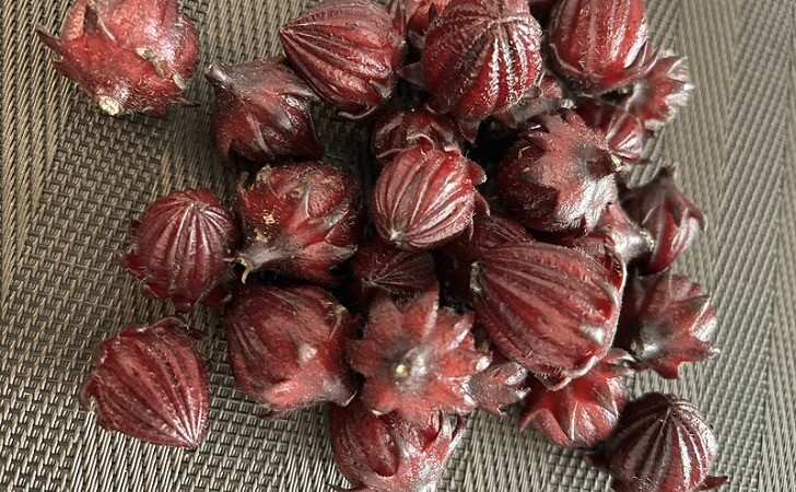 ローゼルの萼と苞