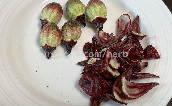 ローゼルの苞と萼と種