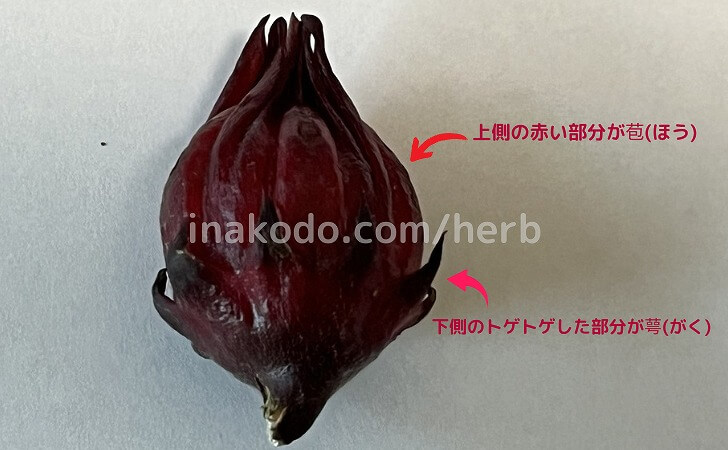 ローゼルの萼と苞の説明