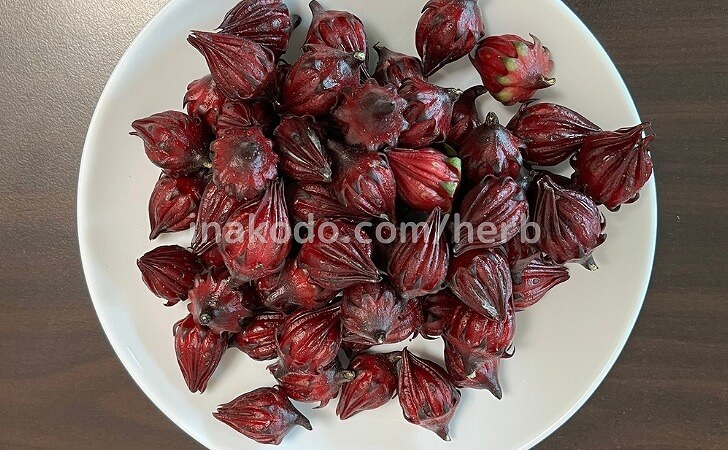 たくさん収穫したローゼル