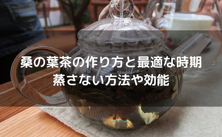 桑の葉茶