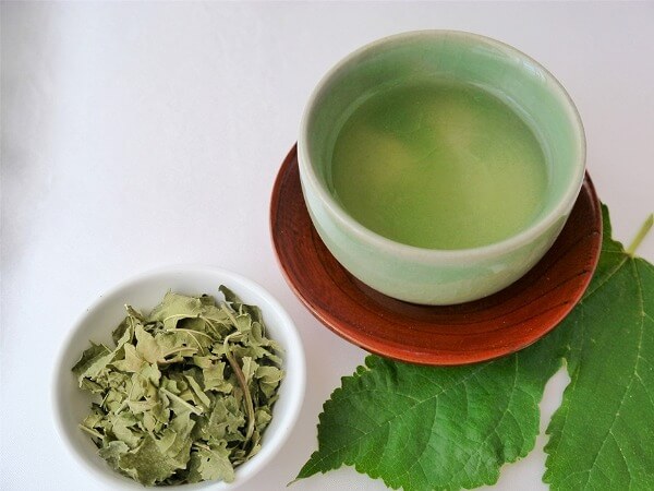 桑の葉茶