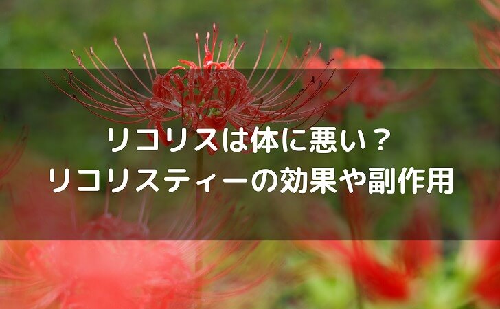 リコリスの花