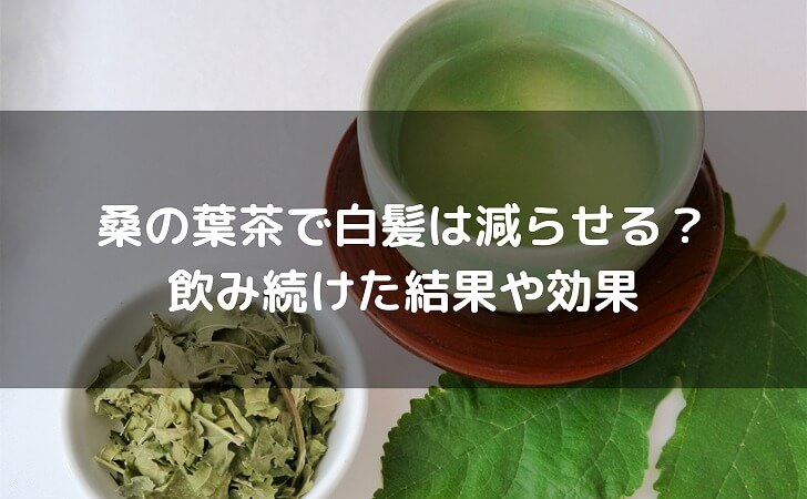 桑の葉茶