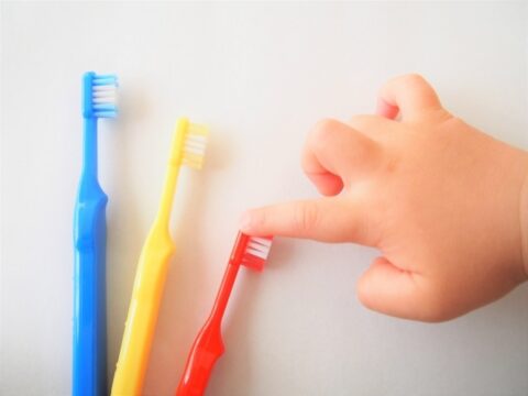 赤ちゃんの歯が生え始めたら歯磨きを 歯ブラシの選び方やガーゼの使い方についても イナコド 田舎で子育てをしてます