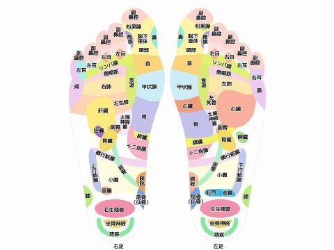 足つぼの図解 痛いところで自律神経の乱れや腰痛 便秘が改善する イナコド 田舎で子育てをしてます