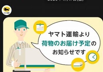 足裏シートの効果は嘘 あの色は老廃物ではないって本当なのか イナコド 田舎で子育てをしてます