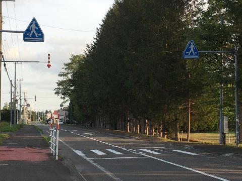 横断歩道の画像