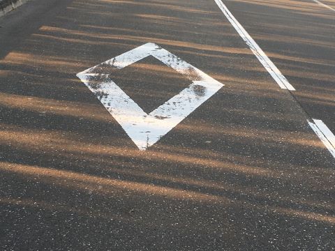 横断歩道の前にある菱形マーク